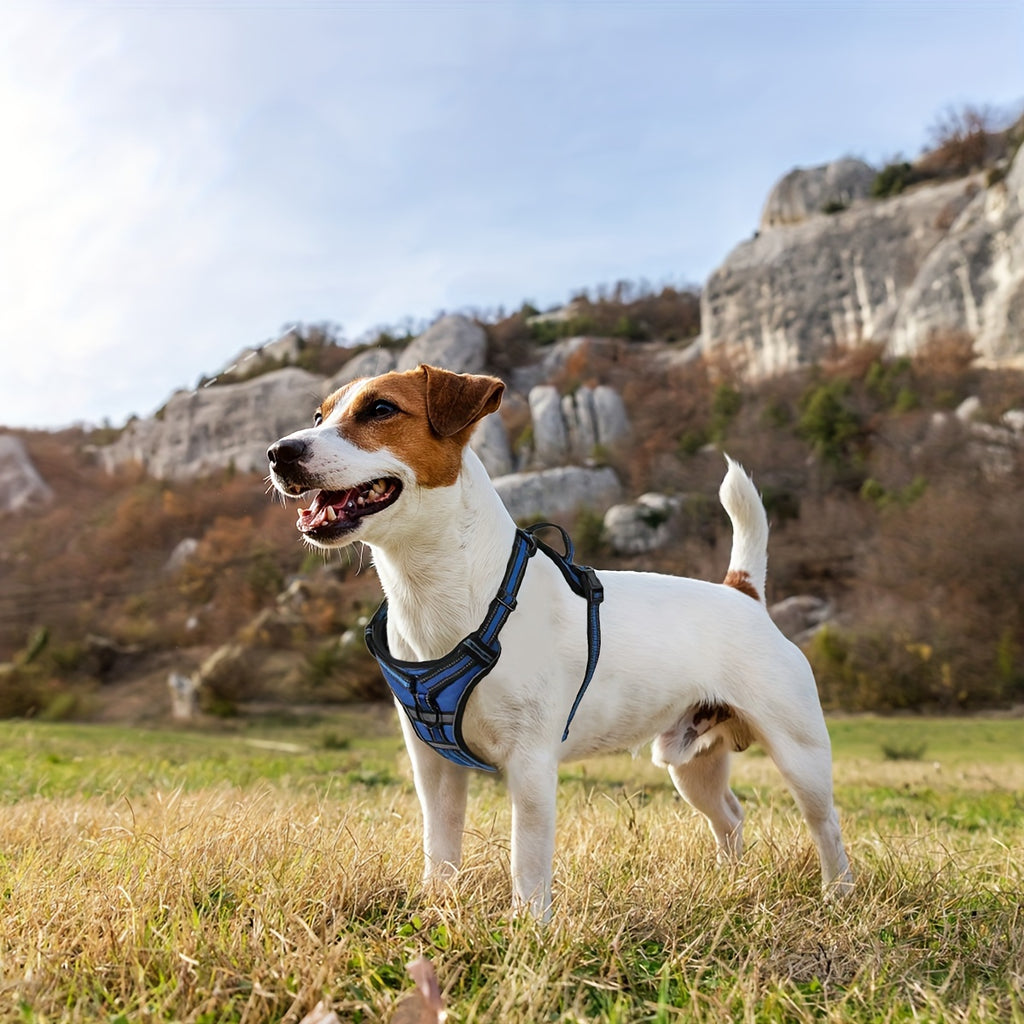 Front Clip No-Pull Dog Harness with Reflective Control Handle, Adjustable Walking Gear for Small, Medium and Large Dogs, S to XL Color Options
