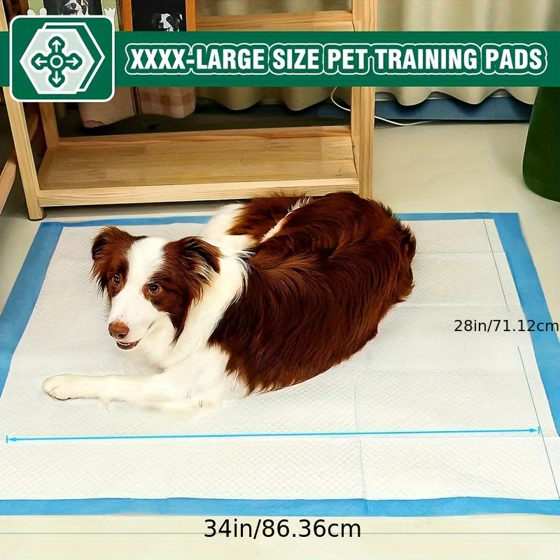 Extra Large Dog Pee Pads 200 Count, 34 x 28 Inch 6-Layer Absorbent Puppy Training Pads with Leak Protection and Odor Control for Indoor Pet Care