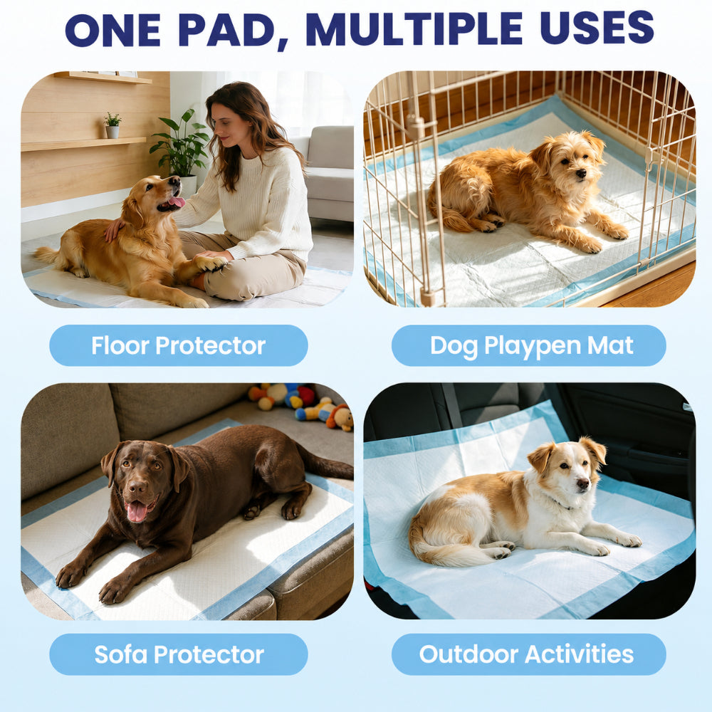 Dog Pee Pads 31 x 37 Inch, 75 Count Extra Large Disposable Puppy Training Pads with Seven-Layer Absorption for Large Dogs and Multi-Pet Homes