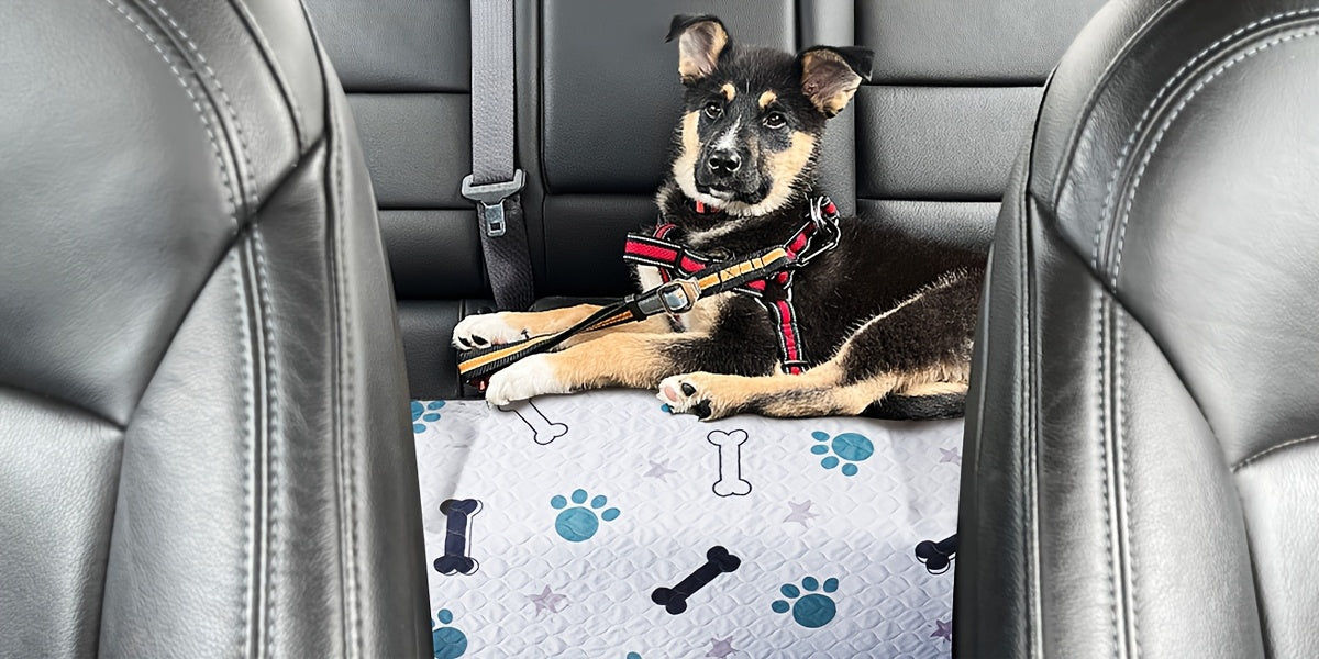 Reusable Dog Pee Pads with Four-Layer Design, Machine Washable Non-Slip Puppy Training Mats in Seven Size Options for Floors, Crates and Playpens
