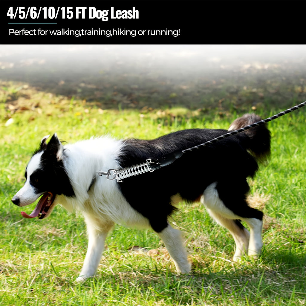 Braided Reflective Dog Leash for Daily Walks and Training, 1/2-Inch Rope Lead with 4, 5, 6, 10 and 15 Foot Options in Multiple Colors