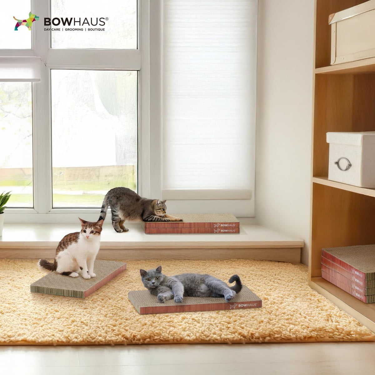 Reversible Cat Scratcher Lounger for Indoor Cats, Large Scratching Pad for Daily Stretching and Rest, Basic 8-Piece or Curved 1-Piece Options