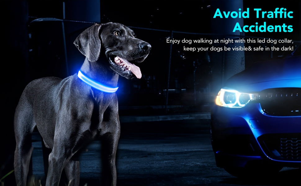 Light Up Dog Collar with 4 Bells, Micro USB Rechargeable LED Nylon Pet Collar with Adjustable Fit, Plastic Buckle and D-Ring for Night Walks