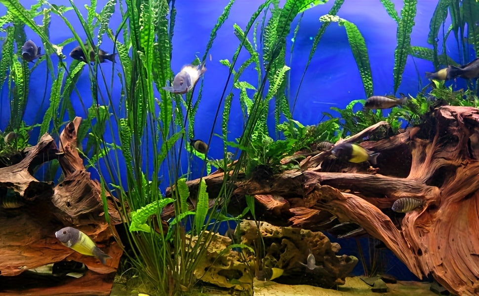 Aquarium Driftwood Decor 2-Pack, 12.5-18 Inch Large Natural Wood with Fewer Branches for Fish Tank Aquascaping and Reptile Enclosures