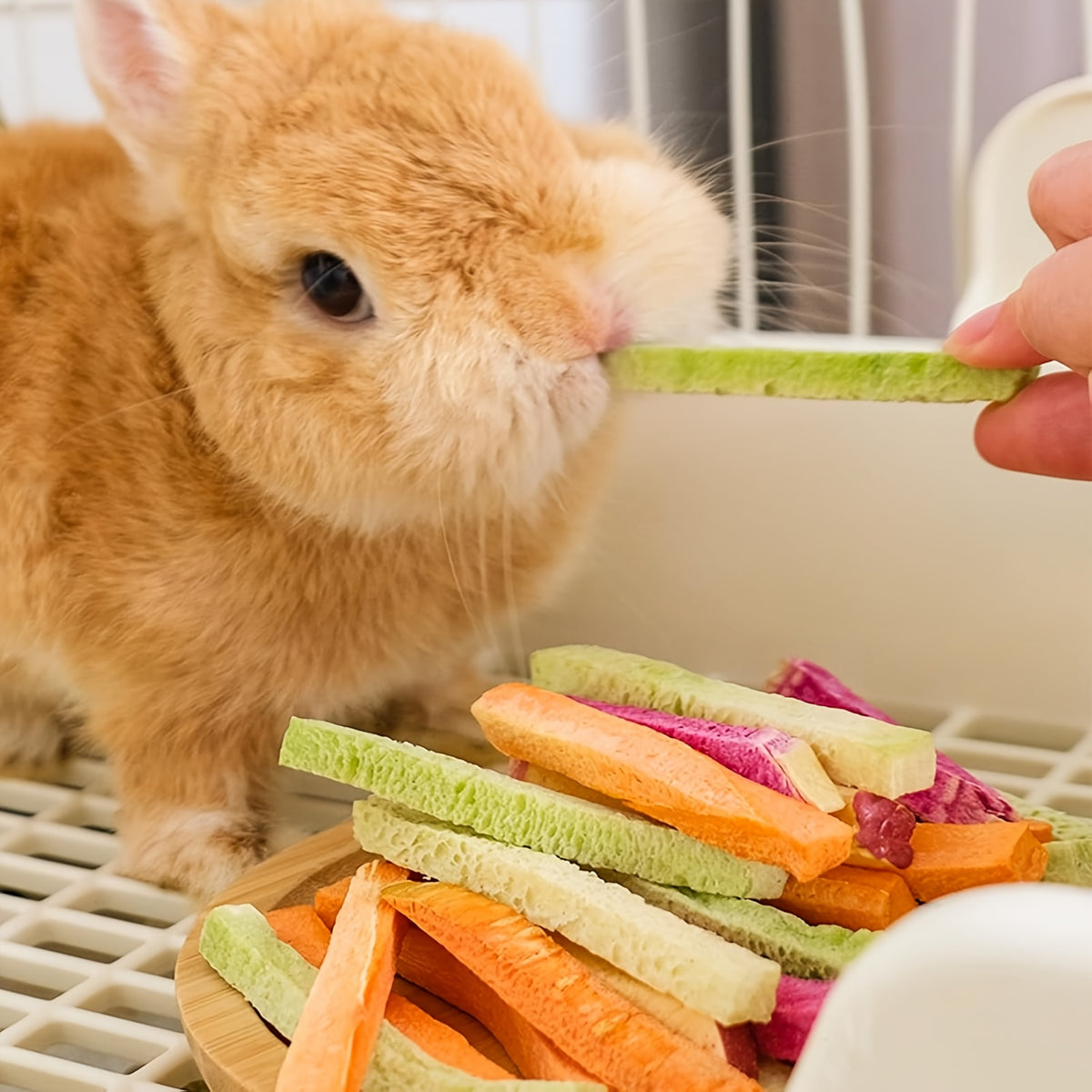 Freeze Dried Small Animal Treats with Vegetables and Fruits, Three Style Options for Pet Owners Planning Species-Appropriate Snack and Reward Routines