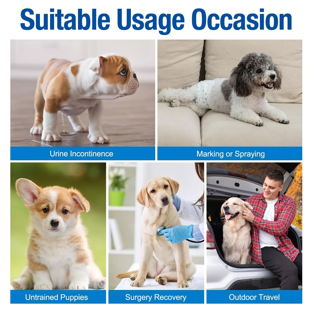 Disposable Dog Diapers 12 Pack with Adjustable Fasteners, Absorbent Male and Female S or M Options for Puppy Training, Senior Dog Accidents and Travel