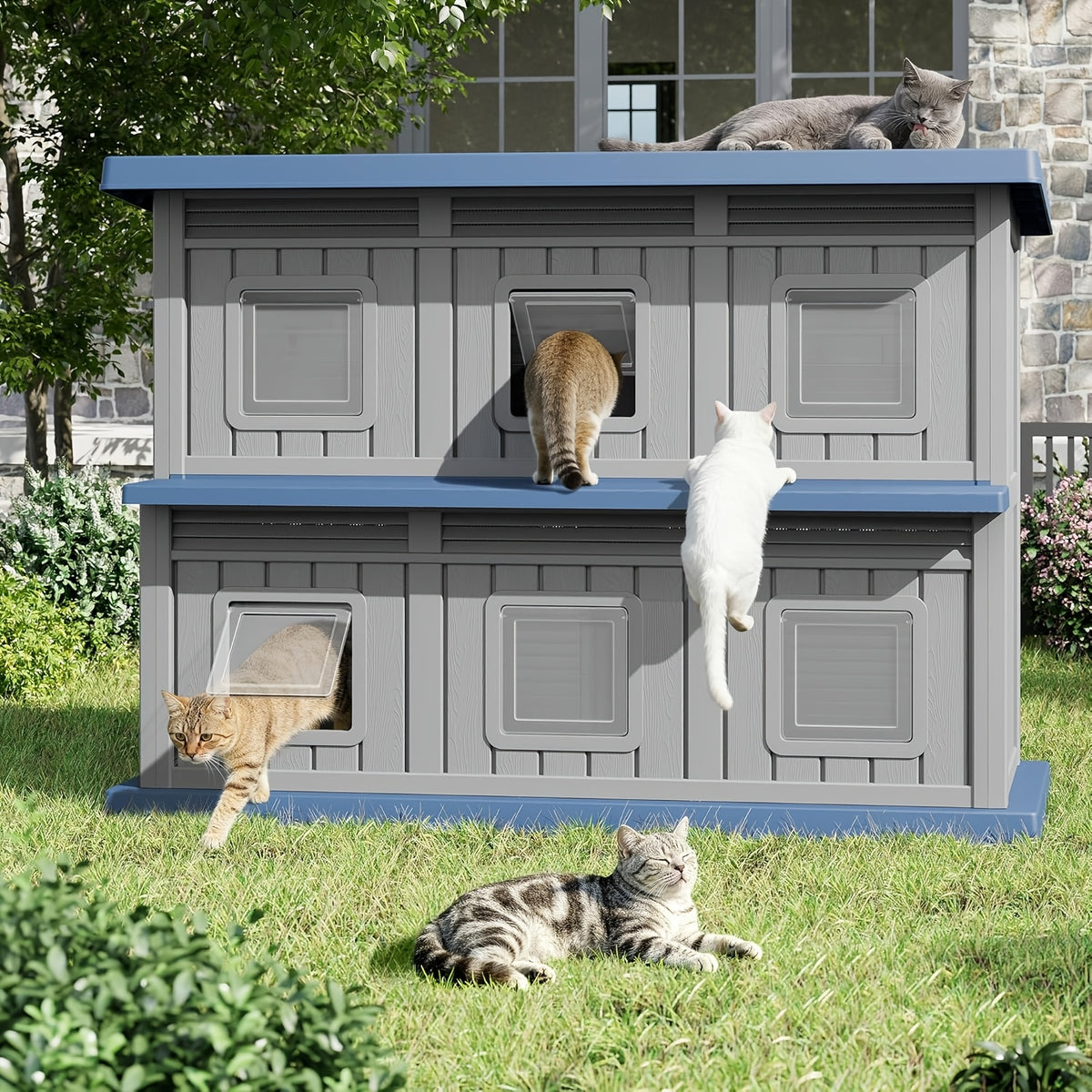 Two-Story Cat House with Multiple Small Windows, Double-Layer Cat Apartment and Resting Shelter for Stray Cats, Blue or Black Color Options