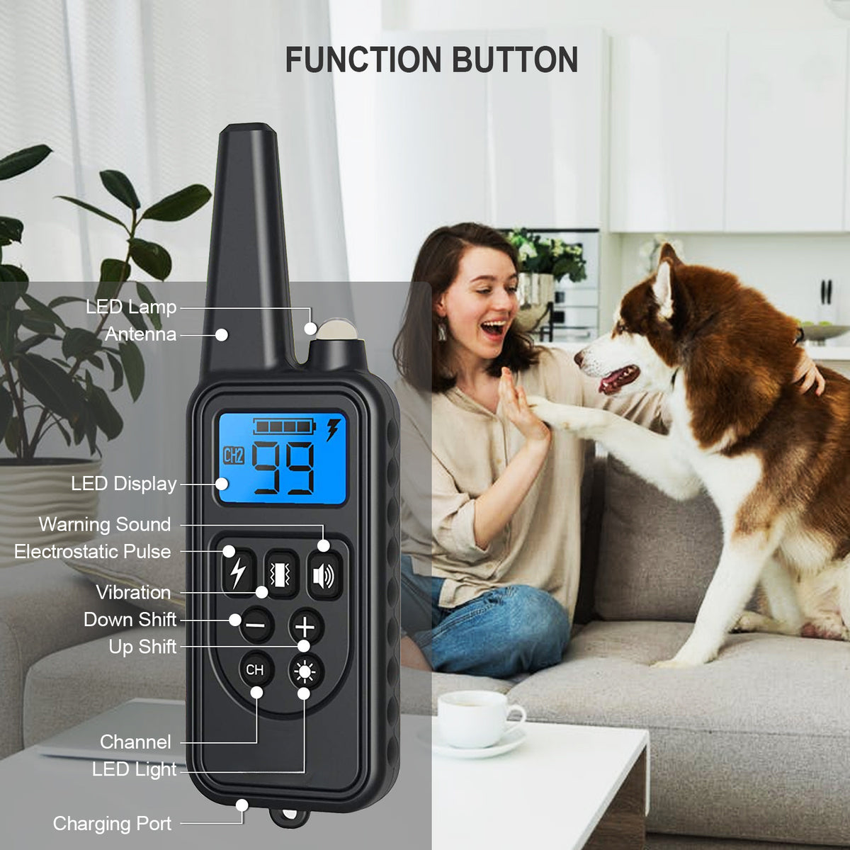 Dog Training Collar Set for 2 or 3 Dogs, Black USB Rechargeable Remote with LED Light, Beep, Vibration and Static Modes for Supervised Sessions
