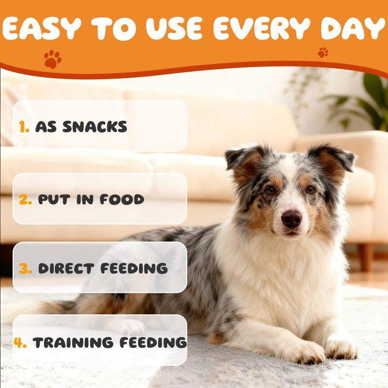 Pumpkin Flavor Dog Probiotics, Soft Chewable Tablets for Daily Digestive Health and Gut Flora Support, 160 or 320 Count Options