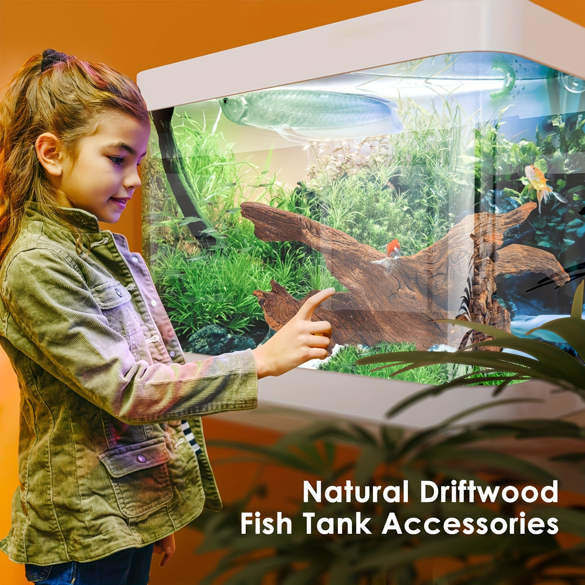 Large Aquarium Driftwood Single Piece, 13-16 Inch Natural Wood for Fish Tank Aquascaping, Shrimp Habitat and Reptile Enclosure Decoration