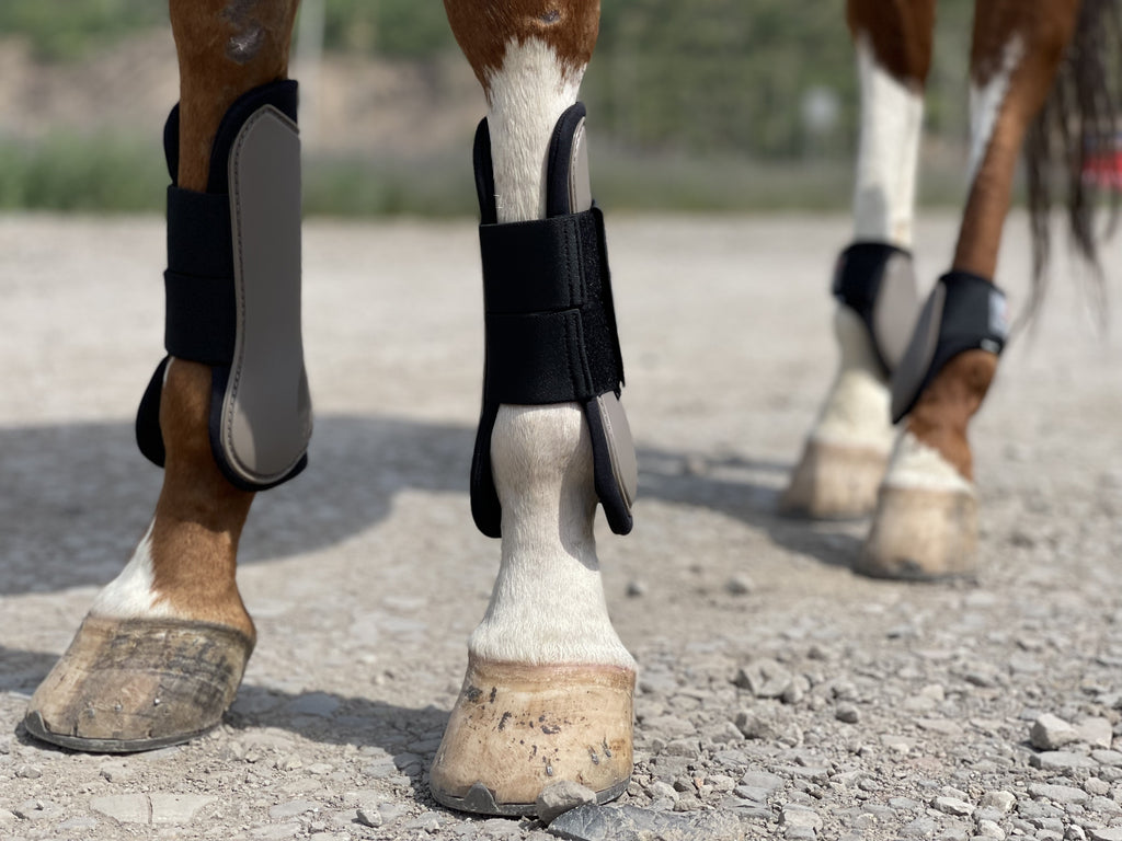Horse Tendon Boots Set of 4, Open Front and Fetlock Leg Guards in PU and Neoprene for Riding, Jumping and Training, FULL and COB Size Options