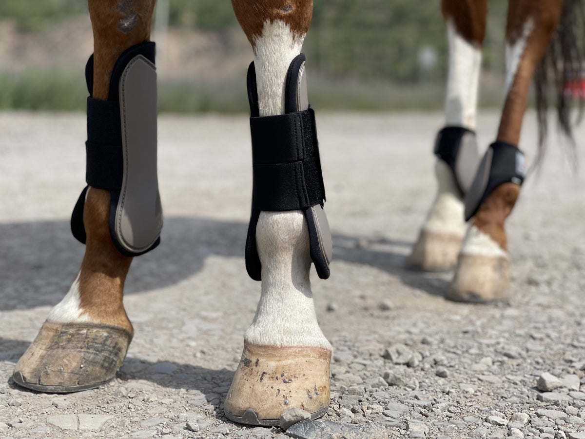 Horse Tendon Boots Set of 4, Open Front and Fetlock Leg Guards in PU and Neoprene for Riding, Jumping and Training, FULL and COB Size Options