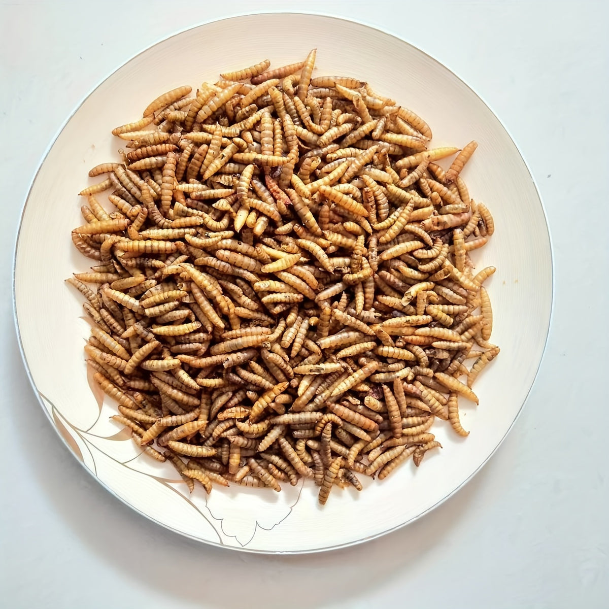 Dried Grubs for Chickens 5 lb, Black Soldier Fly Larvae Treats for Backyard Flocks, Supplemental Insect Snacks for Everyday Feeding and Foraging