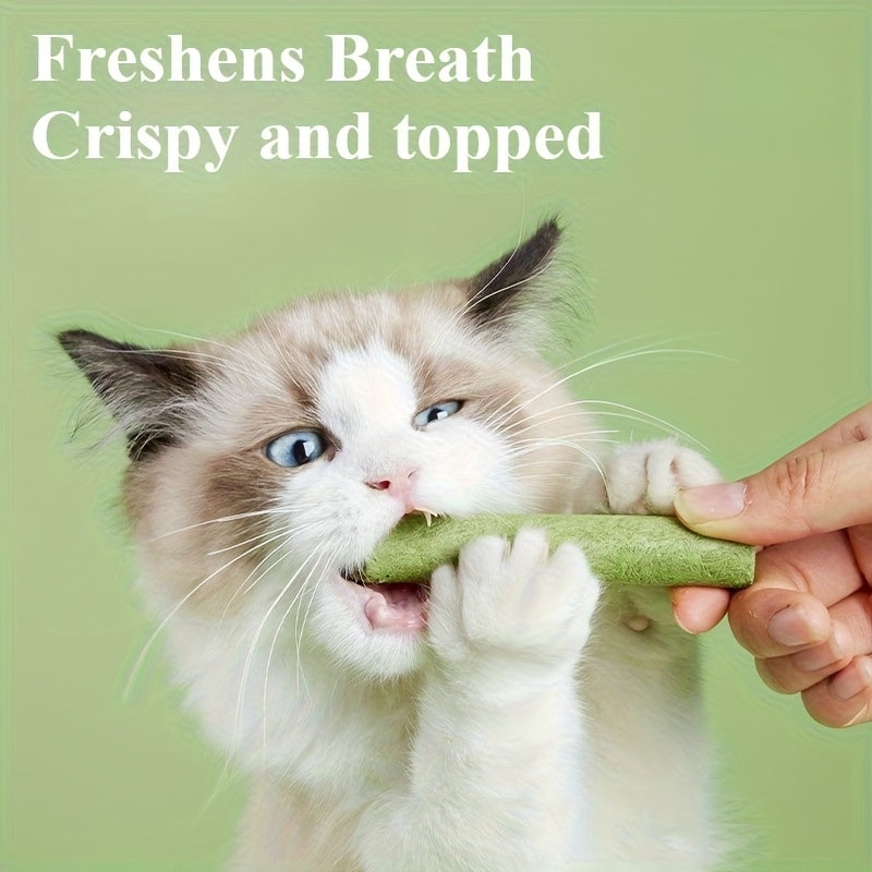 Cat Grass Sticks Freeze-Dried Chicken Dental Chew Treats, 518g Bucket About 105 Sticks for Teeth Cleaning and Hairball Care, Crunchy Snacks for Indoor Cats