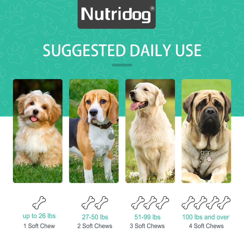 Dog Anal Gland Support Chews, Nutridog Salmon Soft Chews with Pumpkin, Psyllium Husk and Probiotics, 120-Count Fiber Supplement, 300g