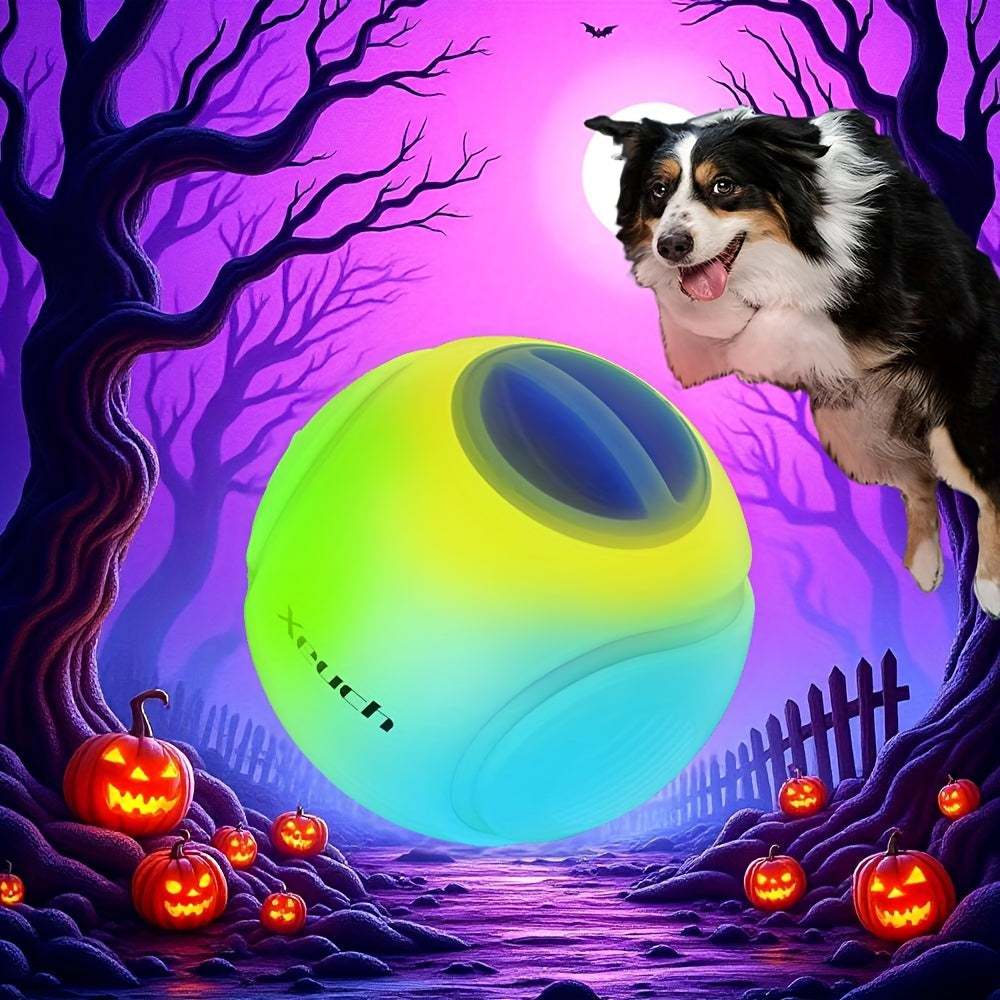 Rechargeable Light Up Dog Ball, 2.5-Inch USB Charging Fetch Toy with Motion and Bounce Activated Glow for Small and Medium Dogs at Play