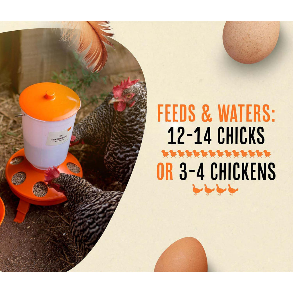 Chicken Feeder and Hanging Water Dispenser Set, 3.31 lb Feed Capacity and 50.72 oz Water Container for Chickens, Ducks and Quail Care