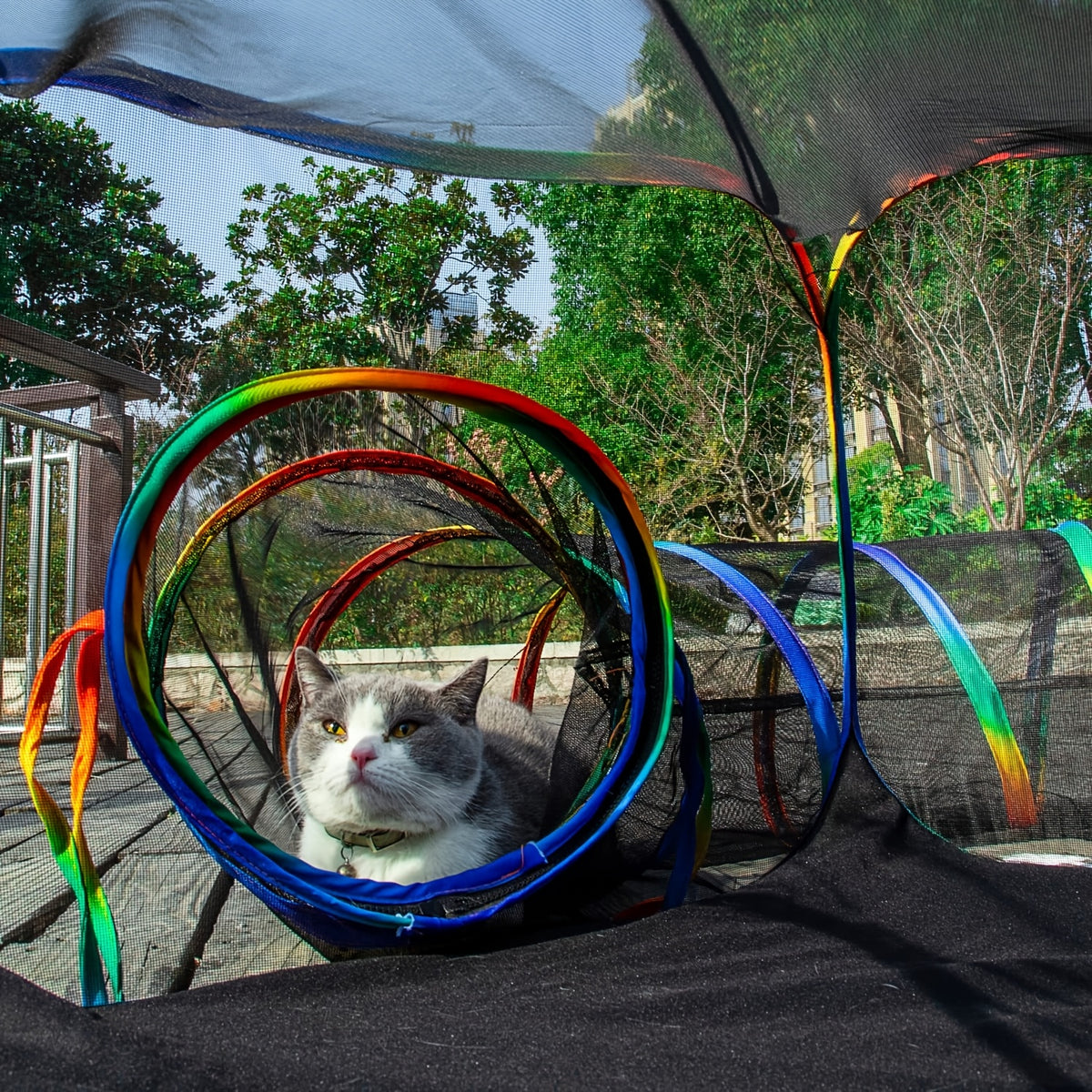 Outdoor Cat Tent with Circle Tunnel, Rainbow Mesh Cat Enclosure and Portable Playpen with Storage Bag for Supervised Indoor and Backyard Play