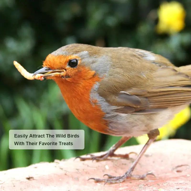 Bulk Dried Mealworms 22 or 40 lb, Protein-Rich Insect Treats for Chickens, Ducks and Wild Birds, Supplemental Snacks for Backyard Feeding Routines
