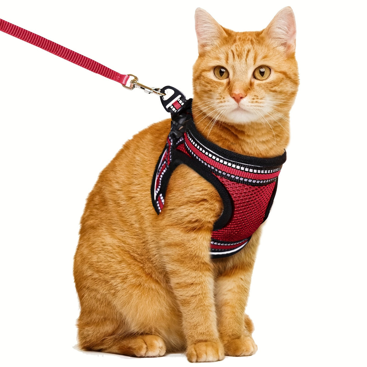 Cat Harness and Leash Set with Reflective Strip, Adjustable Soft Vest for Supervised Kitten and Cat Walks, S or M in Five Color Options