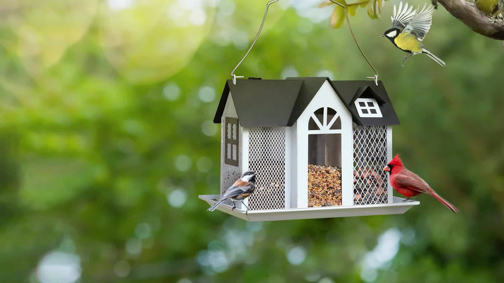 Outdoor Bird Feeder House with Triple Feeding Areas, Metal Mesh Wild Bird Seed Feeder for Finches, Cardinals and Chickadees, Five Color Options