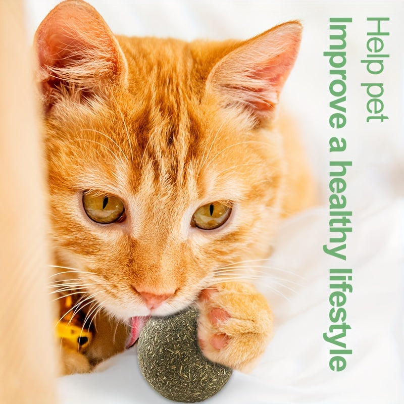 Catnip Silvervine Balls 6 Pack, Cat Herb Toy Balls for Supervised Indoor Play, Everyday Toy Rotation and Cat Lover Holiday Gift Baskets