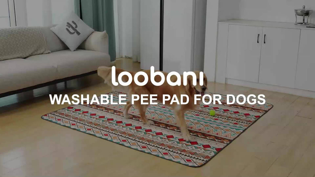 Dog Pee Pads with Retro Tribal Print, 2 Pack Washable Leakproof Puppy Training Mats with Non-Slip Backing for Crates, Playpens and Floors