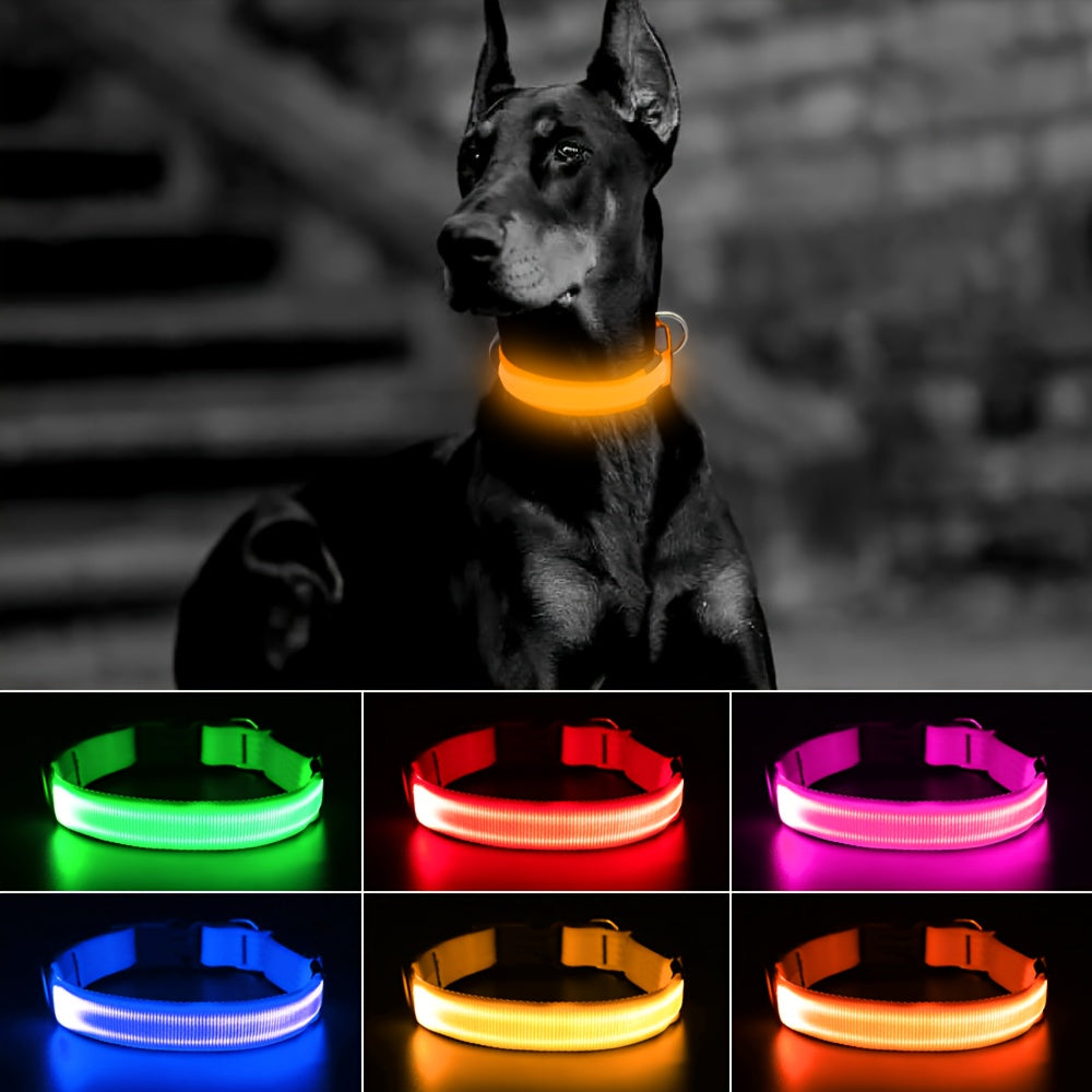 Light Up Dog Collar with 4 Bells, Micro USB Rechargeable LED Nylon Pet Collar with Adjustable Fit, Plastic Buckle and D-Ring for Night Walks
