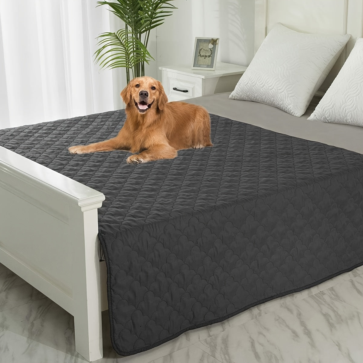 Washable Dog Blanket for Couch and Bed, Reversible Reusable Pet Furniture Protector for Puppies, Large Dogs and Cats, Single Pack