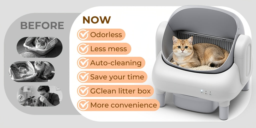 Self Cleaning Litter Box, ECORUI Certified Refurbished Open-Top Automatic Cat Toilet with App Control for Multiple Cats, Light Gray