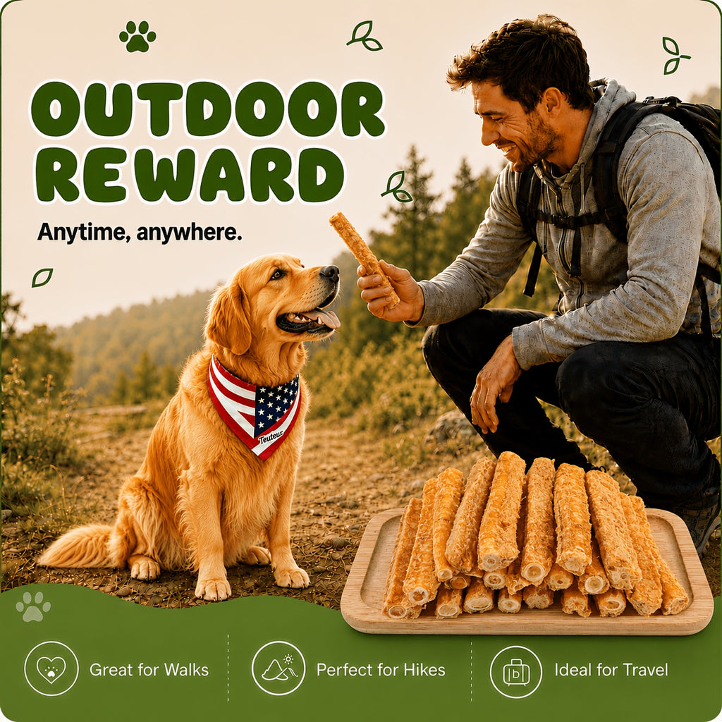 Salmon Dog Treats 85g, Freeze-Dried Crunchy Fish Snacks for Supervised Training Rewards, Walks and Everyday Treat Time for Small and Medium Dogs