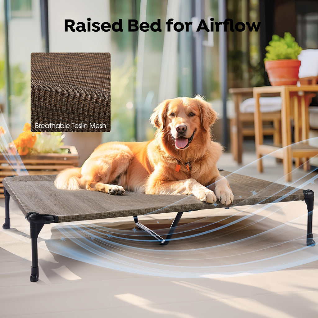 Elevated Dog Bed with Removable Pillow-Top Mat, Three-Sided Bolster Pet Cot with Breathable Teslin Mesh, Steel Frame and Non-Slip Feet in Four Sizes
