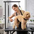 Dog Grooming Table Arm, Black Foldable Pet Grooming Stand with Adjustable Table Clamp and Restraint Loops for Small and Medium Dogs, Table Not Included