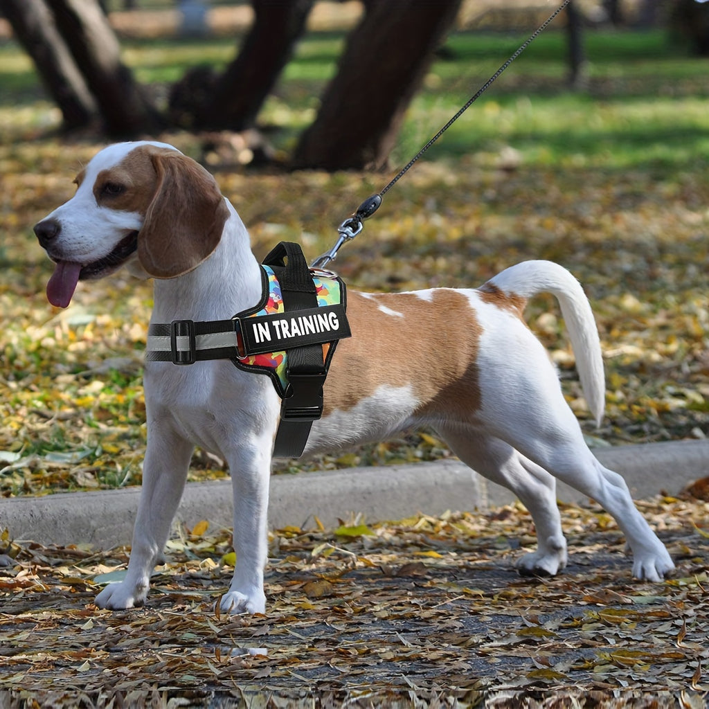 No-Pull Dog Walking Harness, Reflective Adjustable Everyday Training Gear for Small, Medium and Large Dogs in 11 Colors, XS to XXL