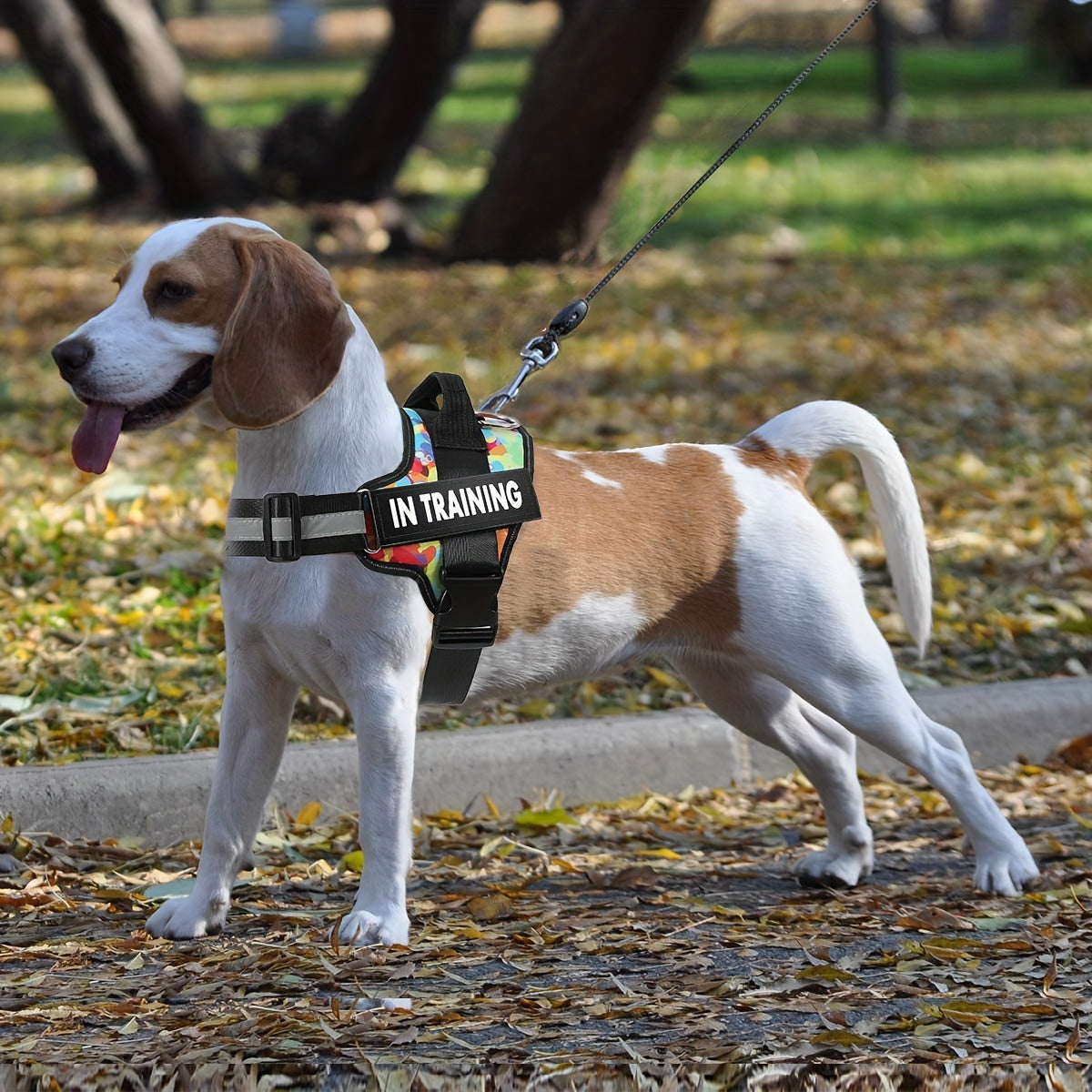 No-Pull Dog Walking Harness, Reflective Adjustable Everyday Training Gear for Small, Medium and Large Dogs in 11 Colors, XS to XXL