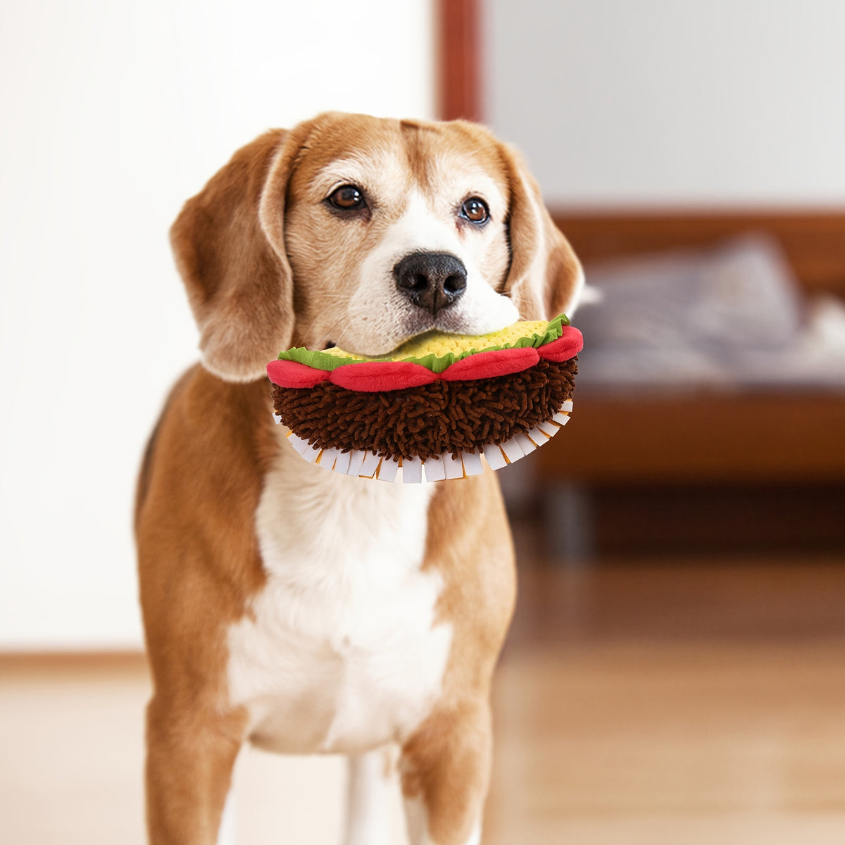 Squeaky Taco Dog Toy 8 Inch, Soft Textured Food-Shaped Plush for Gentle Fetch and Indoor Play, Funny Pet Birthday Gift for Dogs
