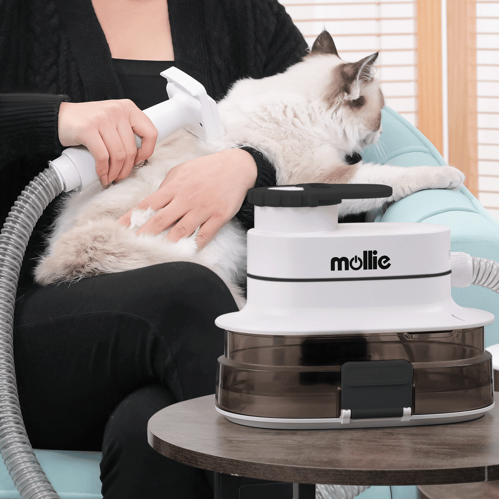 Dog Grooming Vacuum and Dryer Kit with 6 Grooming Tools, Trimmer and Guide Combs for At-Home Dog and Cat Coat Care, MoNiBloom
