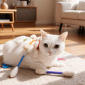Interactive Cat Toy Sticks 10 Pack, Extra Large Assorted Color Pet Toys for Supervised Indoor Play, Daily Activity and Cat Lover Gifts