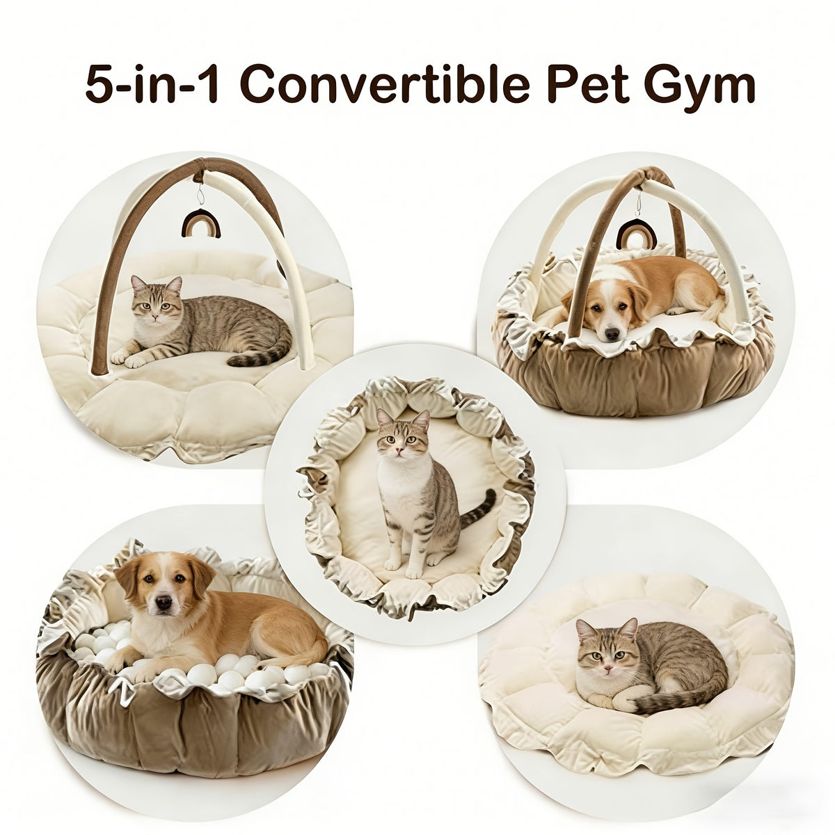Convertible Cat Bed with Hanging Toys, 5-in-1 Double-Sided Soft Pet Nest and Play Gym for Kittens, Adult Cats and Small Dogs in Three Colors