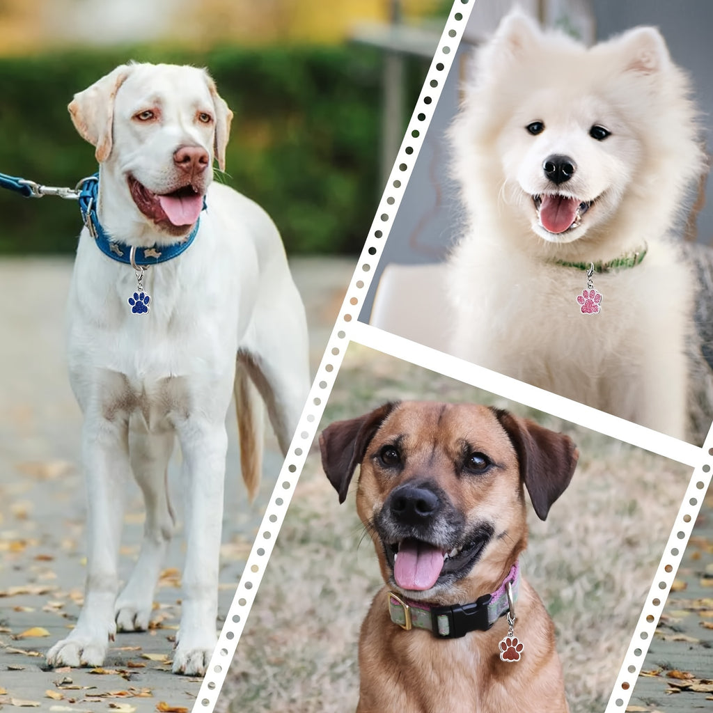 Engraved Pet ID Tag for Dogs and Cats, Personalized Name and Phone Number Identification in Blue or Pink for Daily Walks and Travel