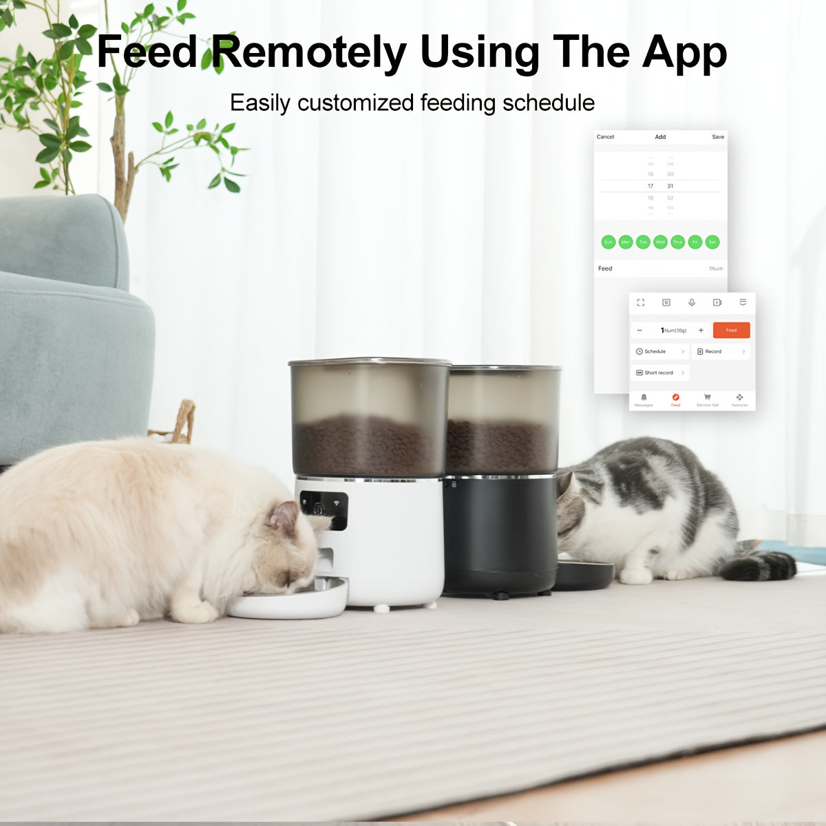 4L Automatic Pet Feeder by NPET, Cat and Dog Food Dispenser with Stainless Steel Bowl, USB or Battery Power and App or Camera Version Options