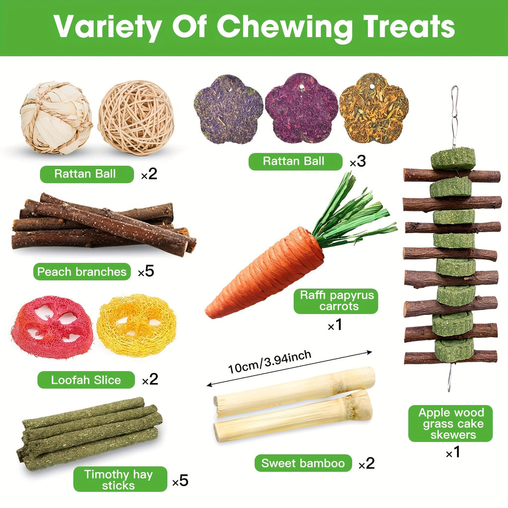 Timothy Hay Treats Variety Pack for Rabbits, Guinea Pigs and Hamsters, 21 Assorted Hay Sticks and Cakes with Carrot and Strawberry Styles