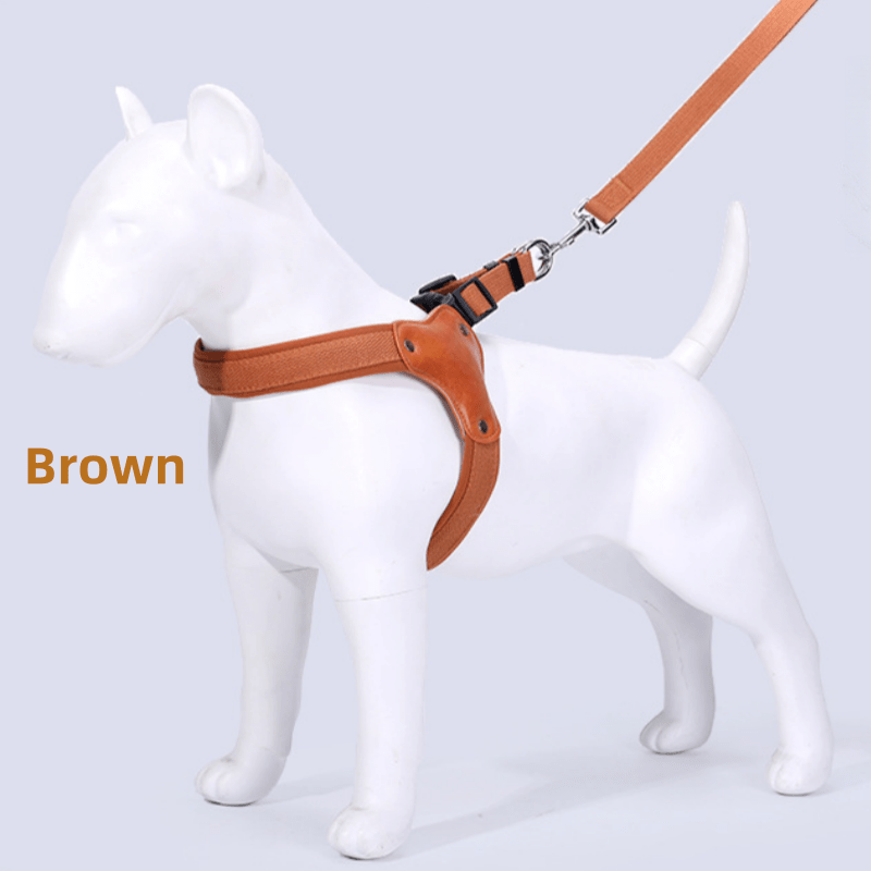 Chest and Back Dog Walking Harness, Everyday Pet Walking Gear in Red, Black, Brown or Army Green with S to XL Size Options for Outdoor Routines
