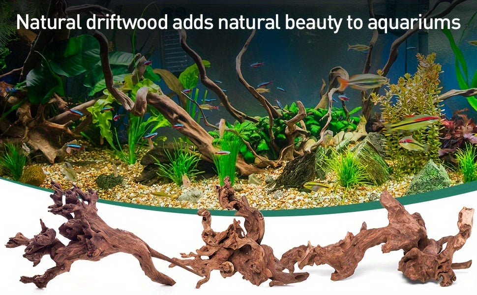 Aquarium Driftwood Set of 3, Natural Large Wood Pieces for Fish Tank Aquascaping, Shrimp Habitat Layouts and Reptile Enclosure Decor
