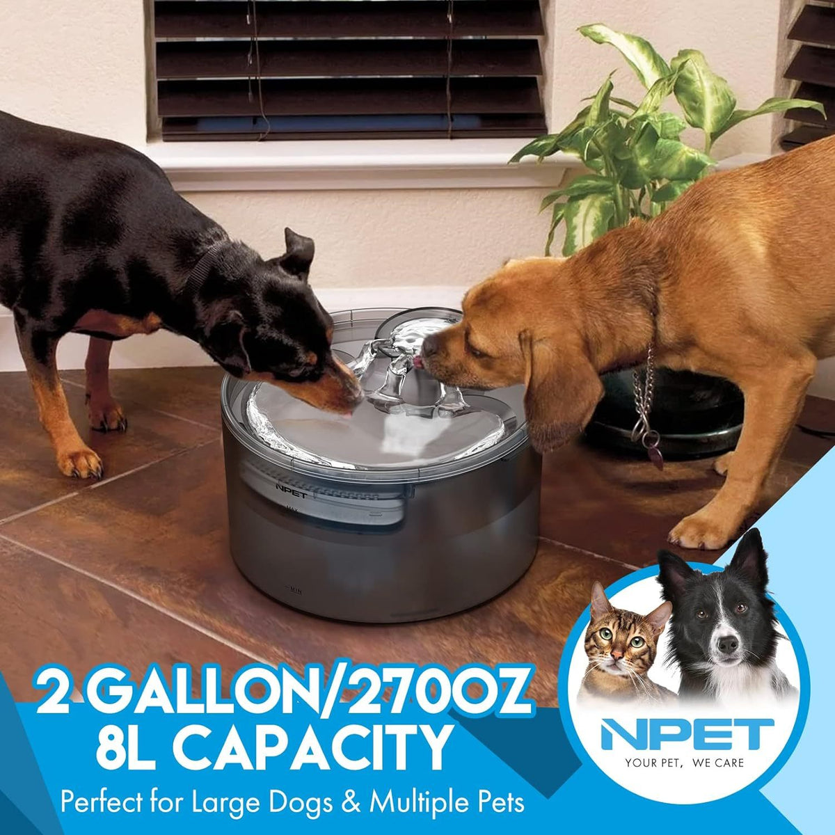 Large Dog Water Fountain DF30, 5L or 8L Flowing Pet Drinking Dispenser for Multi-Pet Homes with Selected Filter Bundles and Separate Filter Option