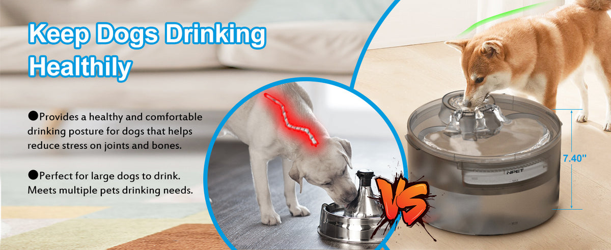 Large Dog Water Fountain DF30, 5L or 8L Flowing Pet Drinking Dispenser for Multi-Pet Homes with Selected Filter Bundles and Separate Filter Option
