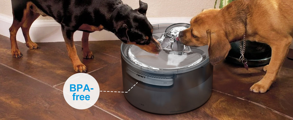 Large Dog Water Fountain DF30, 5L or 8L Flowing Pet Drinking Dispenser for Multi-Pet Homes with Selected Filter Bundles and Separate Filter Option