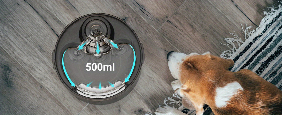 Dog Water Fountain with Splatter Guard, 5L or 8L Automatic Pet Drinking Dispenser for Multi-Pet Homes with Filter Bundle Options