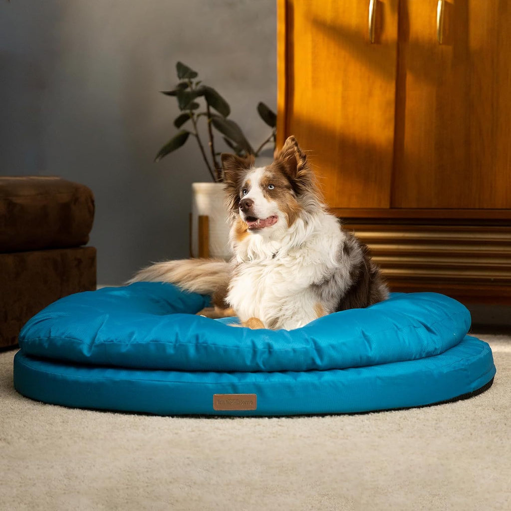Round Orthopedic Dog Bed for Large Dogs, Dual-Layer Pet Lounger with Washable Cover and Non-Slip Bottom, 36 or 42 Inch in Two Colors