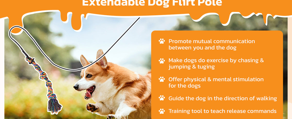 40-Inch Dog Flirt Pole with Telescopic Aluminum Alloy Wand, Non-Slip Handle and Detachable Lure Design for Supervised Chase Play and Training